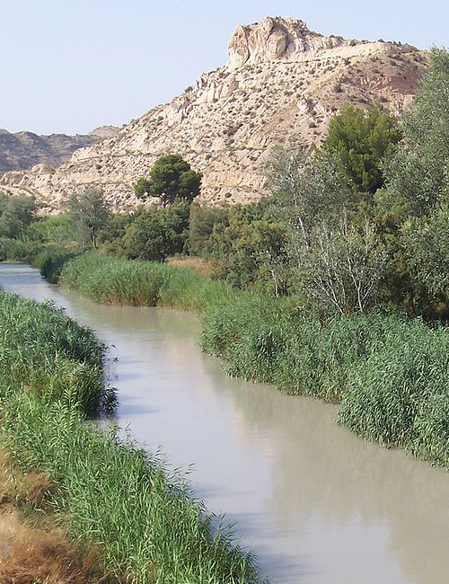Le fleuve Segura
